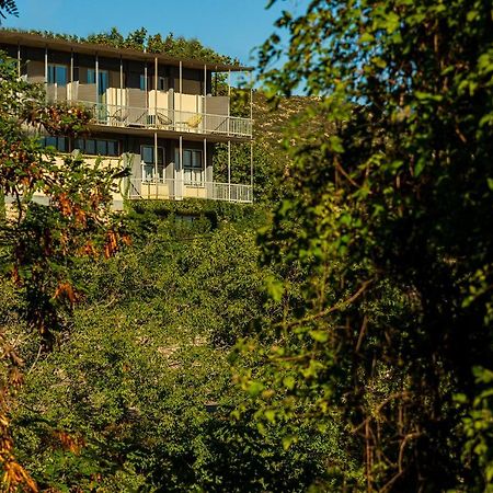 Theoxenia Hotel Andritsaina Exteriér fotografie